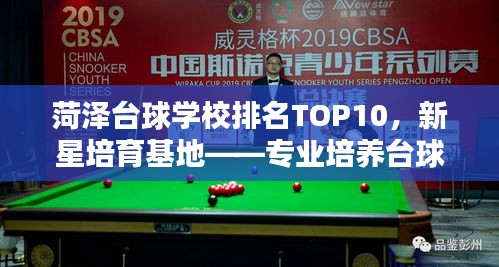 菏泽台球学校排名TOP10，新星培育基地——专业培养台球新星