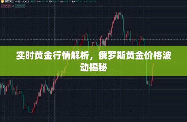 实时黄金行情解析，俄罗斯黄金价格波动揭秘