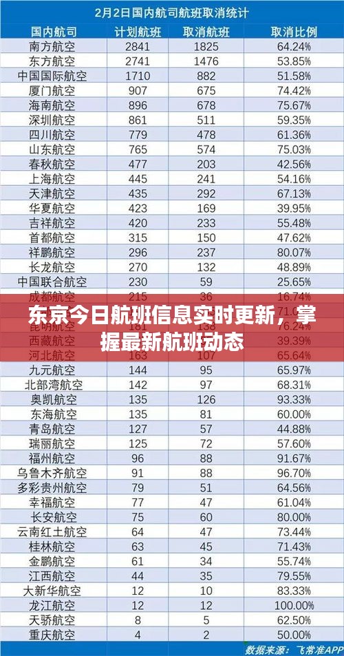 东京今日航班信息实时更新，掌握最新航班动态