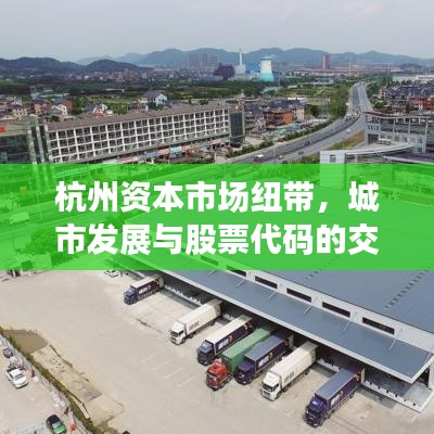 杭州资本市场纽带，城市发展与股票代码的交融之旅