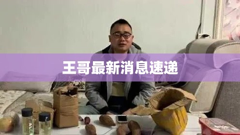 王哥最新消息速递