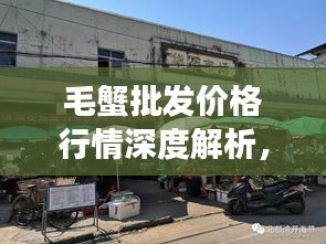 毛蟹批发价格行情深度解析，最新市场动态！