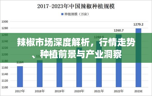 辣椒市场深度解析，行情走势、种植前景与产业洞察