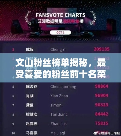 文山粉丝榜单揭秘，最受喜爱的粉丝前十名荣耀揭晓