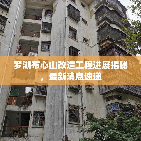 罗湖布心山改造工程进展揭秘，最新消息速递