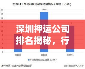 深圳押运公司排名揭秘，行业深度分析与趋势解读