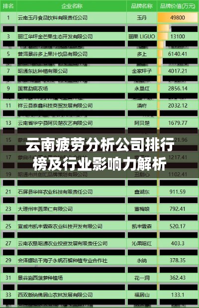 云南疲劳分析公司排行榜及行业影响力解析