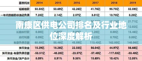 南康区供电公司排名及行业地位深度解析