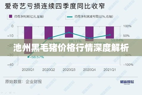 池州黑毛猪价格行情深度解析