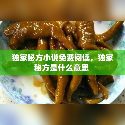 独家秘方小说免费阅读，独家秘方是什么意思 