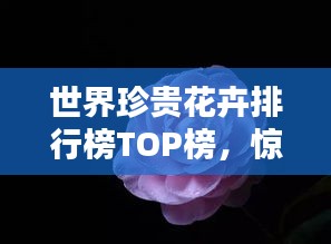 世界珍贵花卉排行榜TOP榜，惊艳你的视觉盛宴！