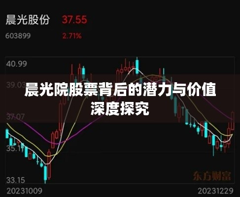 晨光院股票背后的潜力与价值深度探究