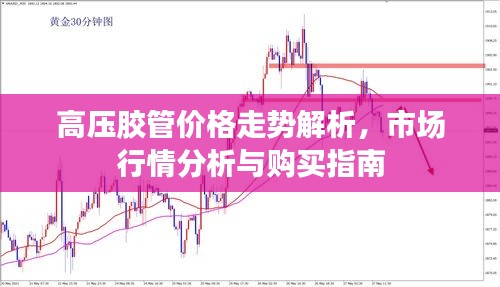 高压胶管价格走势解析，市场行情分析与购买指南