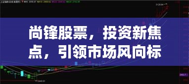 尚锋股票，投资新焦点，引领市场风向标