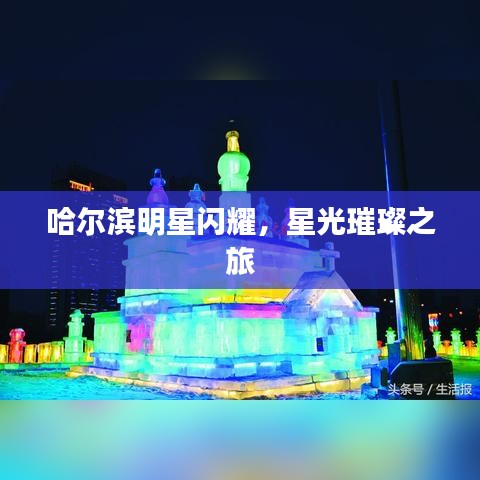 哈尔滨明星闪耀，星光璀璨之旅