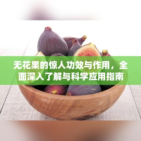 无花果的惊人功效与作用，全面深入了解与科学应用指南