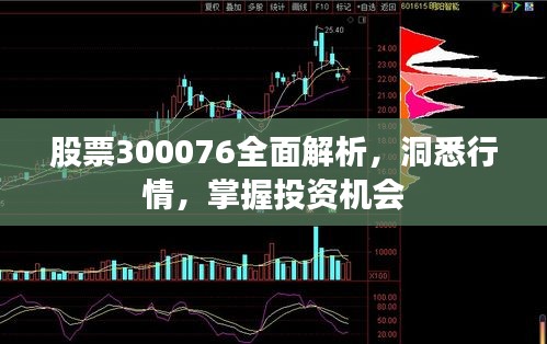 股票300076全面解析，洞悉行情，掌握投资机会