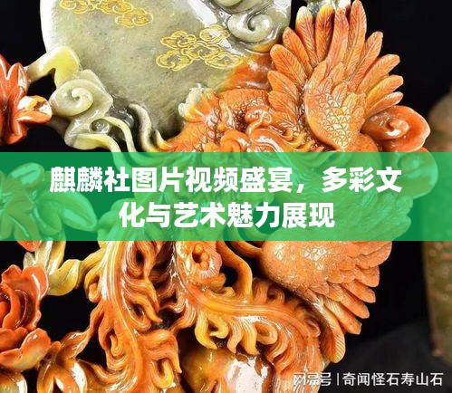 麒麟社图片视频盛宴，多彩文化与艺术魅力展现