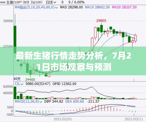 最新生猪行情走势分析，7月21日市场观察与预测