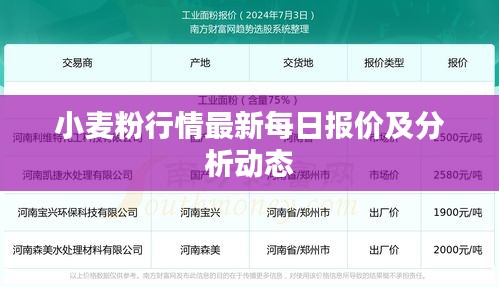 小麦粉行情最新每日报价及分析动态