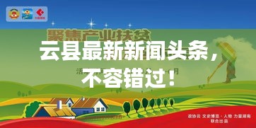 云县最新新闻头条，不容错过！