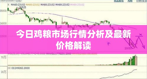 今日鸡粮市场行情分析及最新价格解读