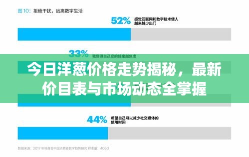 今日洋葱价格走势揭秘，最新价目表与市场动态全掌握