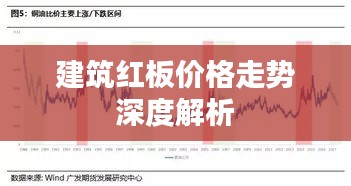 2025年2月24日