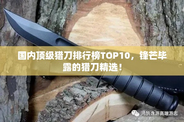 国内顶级猎刀排行榜TOP10，锋芒毕露的猎刀精选！