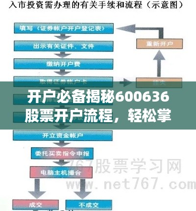 开户必备揭秘600636股票开户流程，轻松掌握股市投资秘籍！