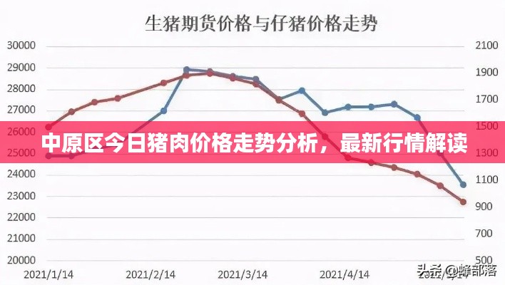 中原区今日猪肉价格走势分析，最新行情解读