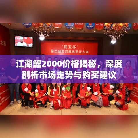 江湖鲤2000价格揭秘，深度剖析市场走势与购买建议