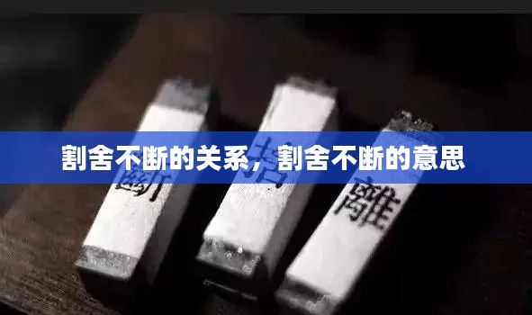 割舍不断的关系，割舍不断的意思 