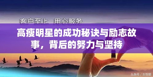 高瘦明星的成功秘诀与励志故事，背后的努力与坚持