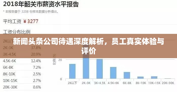 新闻头条公司待遇深度解析，员工真实体验与评价