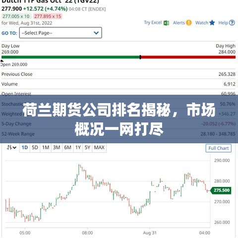 荷兰期货公司排名揭秘，市场概况一网打尽