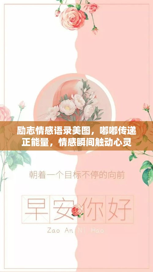 励志情感语录美图，嘟嘟传递正能量，情感瞬间触动心灵