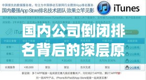 国内公司倒闭排名背后的深层原因探究，揭秘企业倒闭真相！