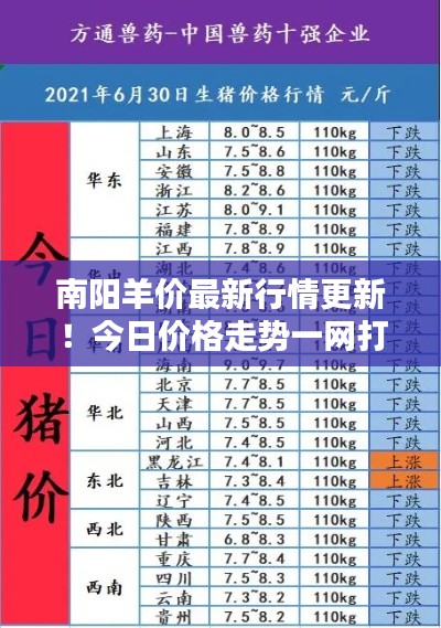 南阳羊价最新行情更新！今日价格走势一网打尽