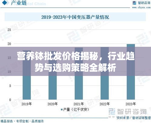 营养钵批发价格揭秘，行业趋势与选购策略全解析