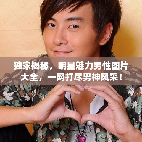 独家揭秘，明星魅力男性图片大全，一网打尽男神风采！