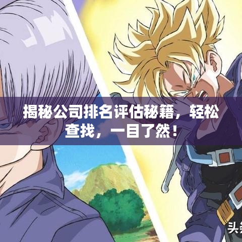 揭秘公司排名评估秘籍，轻松查找，一目了然！