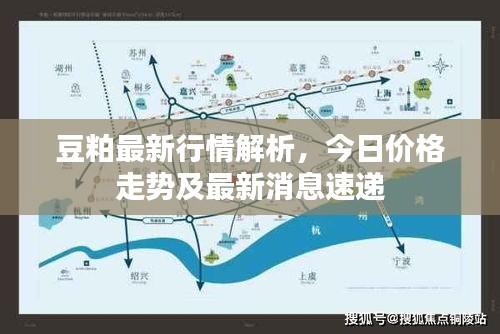 豆粕最新行情解析，今日价格走势及最新消息速递