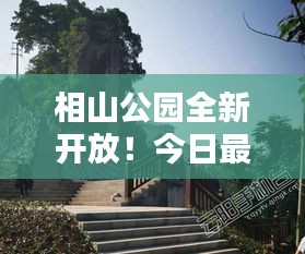 相山公园全新开放！今日最新开放消息更新速递