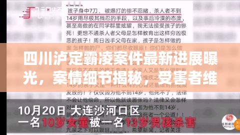 四川泸定霸凌案件最新进展曝光，案情细节揭秘，受害者维权之路持续前行