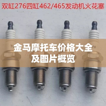 金马摩托车价格大全及图片概览
