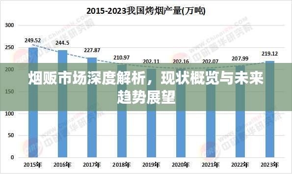 烟贩市场深度解析，现状概览与未来趋势展望