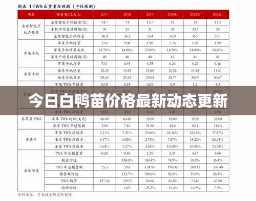 今日白鸭苗价格最新动态更新