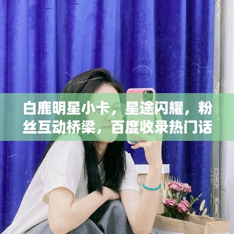 如翚斯飞