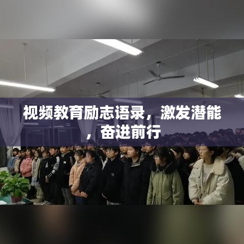 夯雀儿先飞